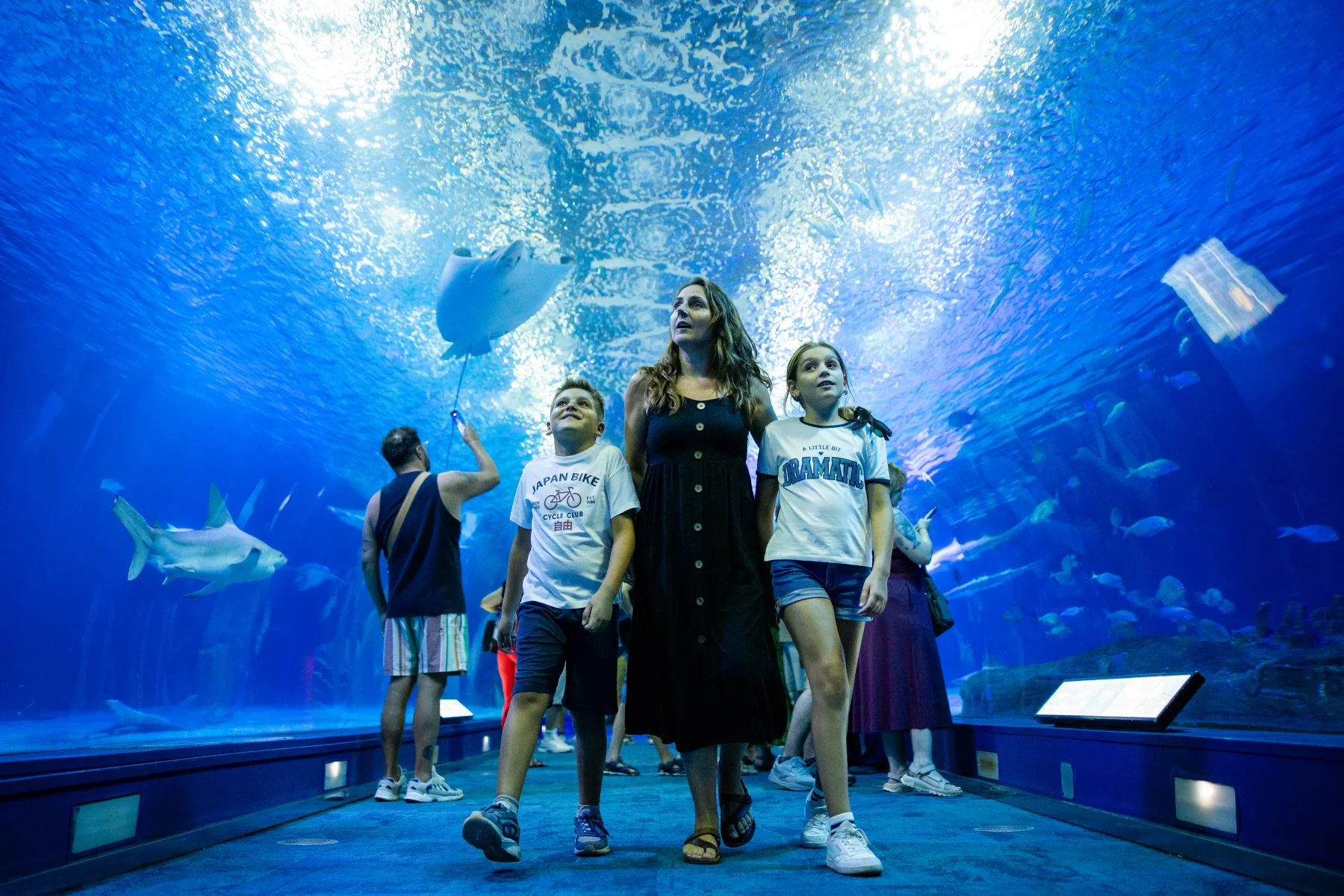 Oceanogràfic Aquarium